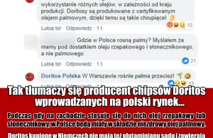 Doritos Polska odpowiada na pytanie, czemu w Polsce używają oleju palmowego