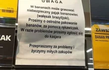 Egzotyczny pająk w bananach, w biedronce. Kiepski żart, kiepskiego żartownisia.