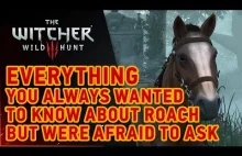 The Witcher 3: Wild Hunt - Roach