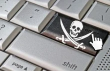 The Pirate Bay: Wyszukiwarki torrentów mogą łamać prawo