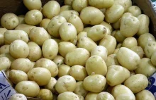 Rosja zawiesiła import ziemniaków z UE bo... nie spełniają ich norm