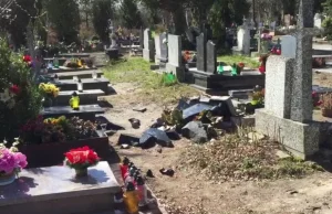 Trojmiasto.pl: Policja ujęła złodzieja zwłok z cmentarzy