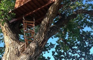 Facet zbudował domek na drzewie dla swojej 5 letniej córki.