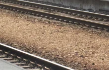 Dolnośląskie: Śmiertelne potrącenie przez pociąg. Zginęła matka z dzieckiem