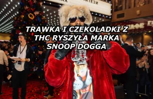 Produkty z marihuany od Snoop Dogga dostępne w Kolorado | Blog