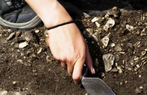 Koło Jasła odkryto grodzisko sprzed trzech tysięcy lat