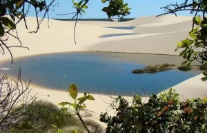 Brazylijska Sahara - pustynia (mocno) nietypowa