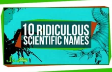 10 Fikuśnych nazw gatunków [ENG]