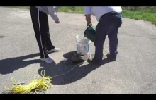 Robotnicy pomagają kaczce, której to młode wpadły do studzienki kanalizacyjnej
