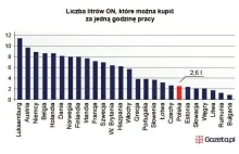 Mamy tanie paliwo? Czytelnik sprawdza. W przeliczeniu na zarobki - nie [TABELA