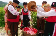Dolina Róż - pachnący zakątek Bułgarii