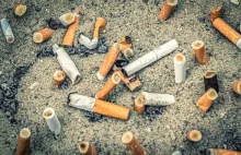 Naukowcy chcą zakazać filtrów papierosowych