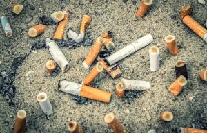 Naukowcy chcą zakazać filtrów papierosowych