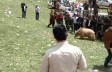 Władze Kurdystanu wypuściły na wolność 6 niedźwiedzi przejętych z rąk prywatnych