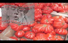 Adio pomidory - Wiesław Michnikowski, Kabaret Starszych Panów