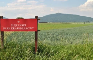Góra Ślęża - prehistoryczne sanktuarium w centrum Dolnego Śląska