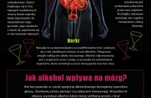 Jak alkohol wpływa na twój organizm?