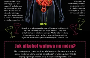 Jak alkohol wpływa na twój organizm?