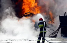 Pożar kurnika pod Wrocławiem. Spłonęło 19 tys. kurczaków