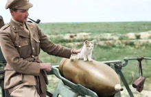 I wojna światowa ukazana w niesamowity sposób na kolorowych zdjęciach