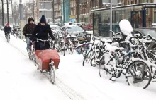 Holandia tonie w śniegu, ogłoszono czerwony alarm