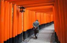 Fushimi Inari Taisha w Kioto