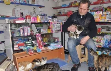 Największa zamieć w Stambule – mieszkańcy pomagają bezpańskim zwierzętom