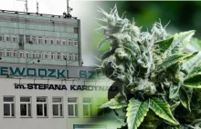 Szpital w Lublinie leczy medyczną marihuaną - lekarze zachwyceni!