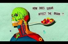 Jak cukier wpływa na nasz mózg TED - Nicole Avena