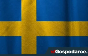 Szwecja: Nacjonaliści po raz pierwszy najpopularniejszym ugrupowaniem