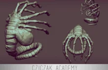 Cziczak Academy, Najlepszy dla indie developerow