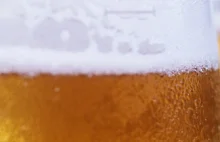 Indeks Piwny: ile na piwo musi pracować Polak?