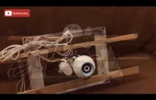 Jak wsadzić kamerę do gniazda szerszeni