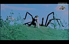 Inwazja olbrzymich pająków - Kino klasy Z