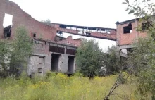 Opuszczona fabryka papieru i celulozy w Kaletach HD