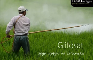 Glifosat i jego wpływ na człowieka