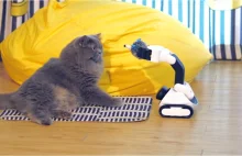 Stworzono robota, który będzie bawił się z twoim kotem