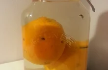 Pij z wykopem - przepis na nalewkę z pomarańczy i kawy