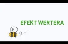 #24 Dlaczego nie warto oglądać telewizji? Efekt Wertera.