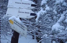 Dolina Białego Tatry