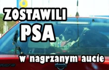 ZOSTAWILI PSA W NAGRZANYM SAMOCHODZIE