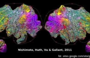 Naukowcy odtworzyli obrazy ukryte w mózgu