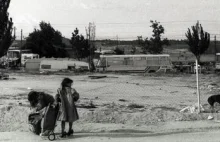 Francuzi w rok usunęli z osiedli 13,5 tys. Romów. „Takie działania są...