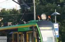 Tramwaje z tęczowymi flagami kursują po Poznaniu.