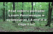 Polskie Lasy Państwowe uhonorowane nagrodą UNESCO