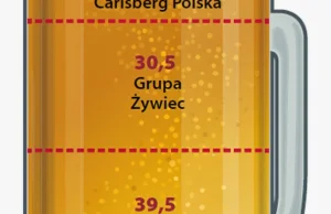 TOP 10 POLSKICH PIW KONCERNOWYCH