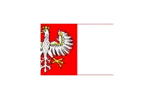 Historia polskiej bandery