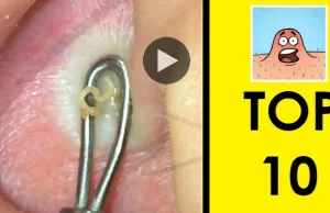 INCREDIBLE VIDEO!!! TOP 10 "MrZit"