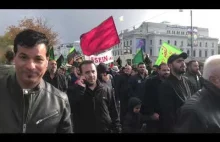 Ogromna islamska manifestacja w Szwecji
