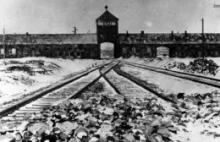 Auschwitz. 74 lata później. Pamiętamy